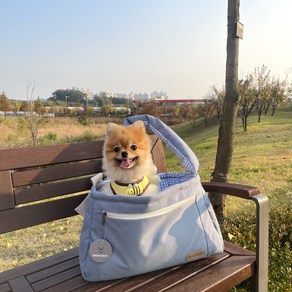 개과천선 반려동물 카소 쿠션포함 이동 슬링백, 블루 스카이, 중형, 1개