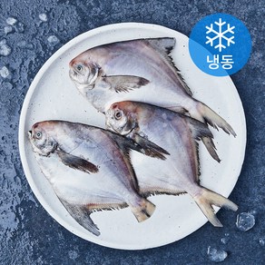 통영원 국내산 손질 병어 (냉동), 1개, 400g(3~4미)