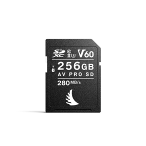 앤젤버드 V60 PRO SD MK2 메모리카드 AVP256SDMK2V60, 256GB, 1개