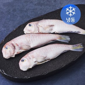 제주 통옥돔 3미 (냉동), 1개, 400g