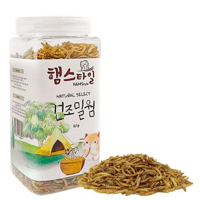 햄스타일 반려동물 내츄럴 셀렉트 건조밀웜 간식, 160g, 1개