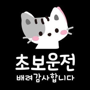 제제데코 투번 칼라 자동차 스티커 TC002 초보운전 배려 아름이