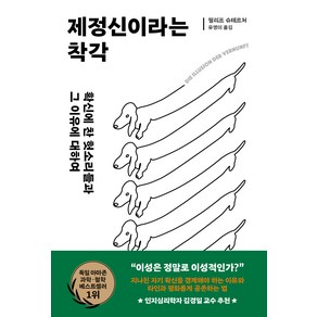 제정신이라는 착각:확신에 찬 헛소리들과 그 이유에 대하여