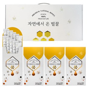 자연에서 온 천연 벌꿀 스틱 10p + 선물 패키지, 120g, 4개