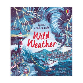 Look Inside : Wild Weather