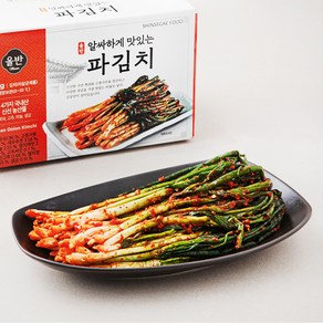 올반 알싸하게 맛있는 파김치, 1kg, 1개