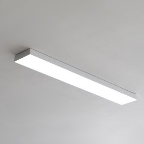 밀크 주방등 LED 60W, 화이트