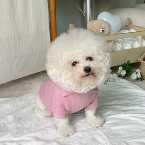 바이담수미 강아지 어도러블 카라 맨투맨, 핑크, 1개