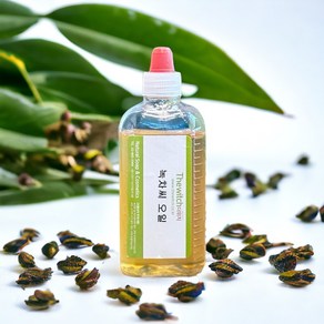 [더위치] 녹차씨오일 100ml Camellia Sinensis Seed Oil, 1개