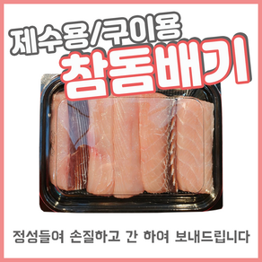 [오늘출발] 손질된 특등급 참돔배기 참모노 제수용 구이용 [죽도시장 막회]