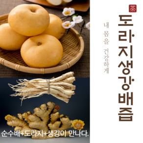 산지직송 하동 배즙 도라지배즙 도라지생강배즙 110ml, 순수배즙110ml 50포, 5.5L