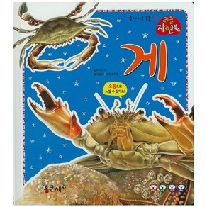 게, 통큰세상