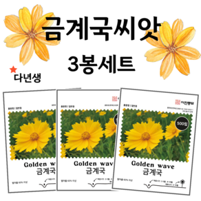 금계국 씨앗 500립 3봉세트 꽃씨 몰 종자 씨, 3개