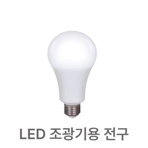 LED 밝기조절 램프 디밍 조광기용 벌브 6W, 1개, 전구색