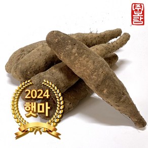 보람농장 산마 상품 5kg, 1개