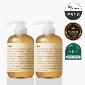 빅그린 탈모 카렌듈라 샴푸 더블세트_500mlx2, 2개, 500ml