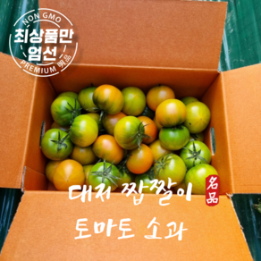 [재구매율1위] 대저 짭짤이 토마토 산지직송, 1박스, 대저토마토 중과 2.5kg(M)