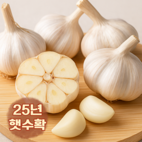 산들상회 [25년 햇마늘] 서산 황토밭 해풍맞은 대서마늘 특/대/중 사이즈 국내산 100% 프리미엄 대서마늘, 1박스, 5kg (특)