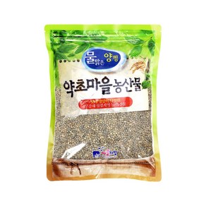 증안리약초마을 국내산 청보리 청맥 엽록소 2024년산 햇곡, 1개, 1kg