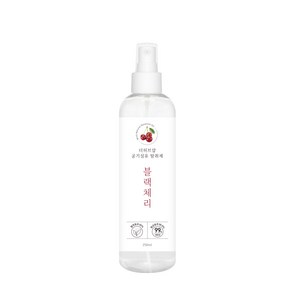 더허브샵 공기&섬유 탈취스프레이_신발장 옷장 이불 침구 간편하게사용, 250ml, 1개