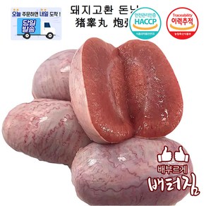 (배터짐) 특미 영양만점 돈낭 돼지고환, 700g, 1개