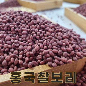 밥보야 24년산 홍국찰보리 2kg 기능성보리, 1개