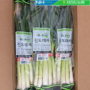 [예찬] [서진도농협] 진도 대파 3단, 1, 3kg