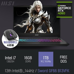 MSI Swod GF66 B13VFK [이벤트 한정특가 / 사은품증정], Fee DOS, 16GB, 1TB, 코어i7, 블랙