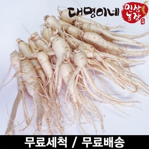 금산인삼 오쿠용 1회분 세척 인삼 수삼 난발 원삼(250g)