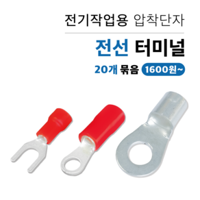 삼영전기 압착터미널 PG단자 나단자 O형 Y형 20개, 2. PG단자 / Y형 20개, 2.5 SQ, 4mm