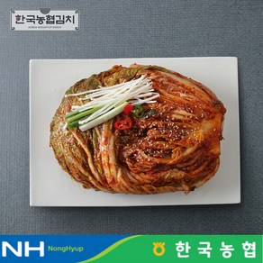 한국농협김치 전라도 순천 남도 포기김치 (전라도식) 3kg, 1개