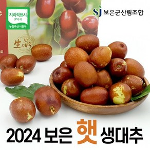 2024년 보은 햇 생대추 500g x 4팩 (총 2kg), 없음