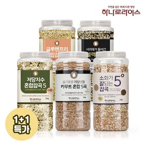 [1+1특가] 하나로라이스 저당지수 혼합5곡 + 건강혼합곡 5종 택1(2kg*2개묶음), 저당지수혼합5곡2kg, 소화가잘되는잡곡2kg, 4kg, 1개