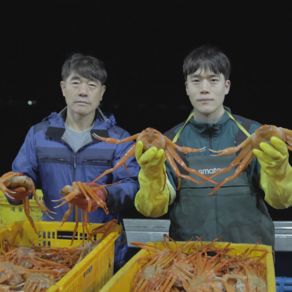 [장성수산] 장성호 선주직판 속초 홍게 고급 프리미엄 (육수용 홍게는 서비스), 1개, 프리미엄 3kg