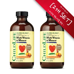 [사은품선택] 차일드 라이프 종합 비타민 & 미네랄 8 Fl.Oz. (237ml) ChildLife Multi Vitamin Mineal Fl Oz -2개 SET, 1세트, 챱스틱(민트)1개, 474ml, 237ml