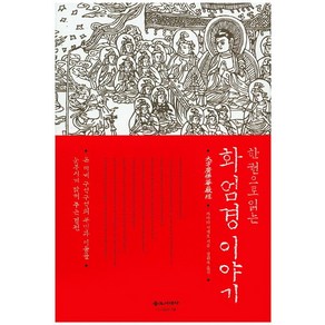 한 권으로 읽는화엄경 이야기:온 세계 구석구석의 무명과 어둠을 눈부시게 밝혀 주는 경전, 불교시대사