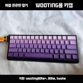 우팅60he 키캡 pbt 자석축 플러스 하우징 80he 키보드 기계식 wooting, 자기 동래wooting용측면투광키캡【박스포장】, 기본