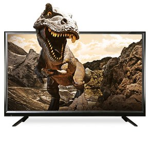 VRID 139cm 55인치 4K UHD TV PREMIUM TV, 브리드55인치