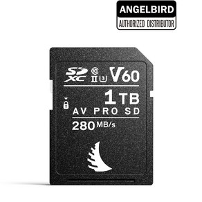 엔젤버드 AV PRO SD MK2 V60 1TB, 1개