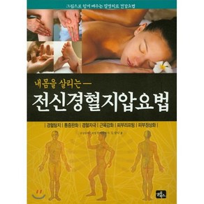 내 몸을 살리는전신 경혈지압요법:그림으로 쉽게 배우는 질병치료 건강요법, 글로북스, 김광덕 저