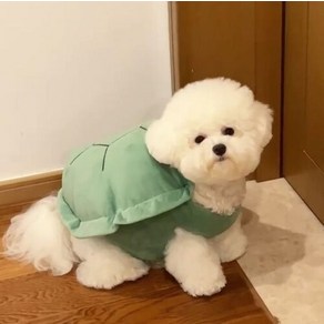 고양이 거북이 옷 강아지 등딱지 반려동물 코스튬의상, 1개