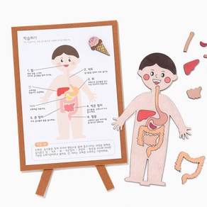 바이오로드 소화기관 인체 지도 만들기 쉽고 재미있게 배우는 우리몸 관찰 과학 수업, 소화기관 인체 지도+스티커증정