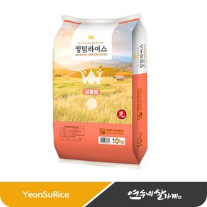 킹덤라이스 삼광쌀 특등급 맛있는 쌀 찰진쌀, 10kg, 1개, 10kg