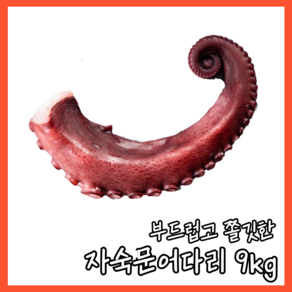 [프리미엄 / A급] 자숙 문어 다리 개별진공포장, 1박스, 2족(9kg/약300gX30팩)