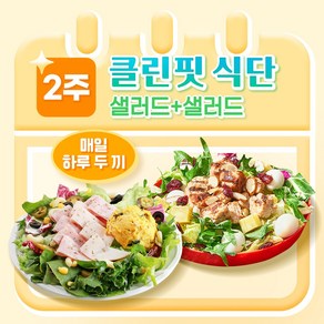 [포켓샐러드] 샐러드 2주 클린핏 식단/ 하루 두 끼 샐러드 관리 (총 24팩), 250g, 24개