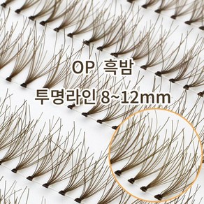 쁘레미 10줄 투명라인 흑밤갈색모 8~12mm [DUOEYEME] : 자연스러운 부분속눈썹, 10개, 흑밤갈색 10mm