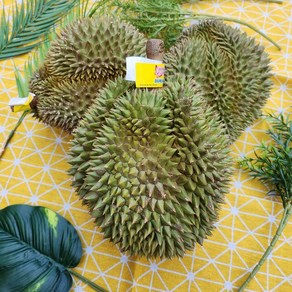 태국 생두리안 항공직송 고당도 통두리안, 1박스, 4kg~4.5kg 두리안 1~2수