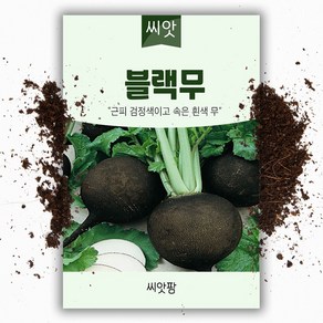 블랙무 씨앗 (300립) 검둥이 무 검정무, 1개