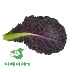 야채이야기 싱싱한 적겨자 200g 겨자잎 적겨자잎, 1개