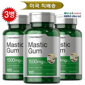Hobaach Mastic Gum 미국 호바흐 매스틱 검 100정(33일분) [ 1병/2병/3병 택1], 100정, 3개